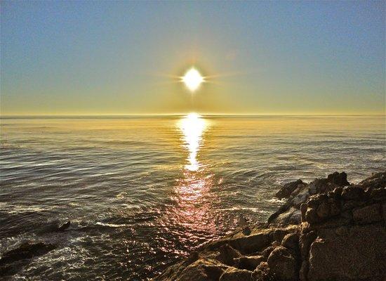 Body In Balance Nutrition Counseling