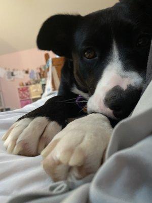 Isabella’s Crafts and Customs