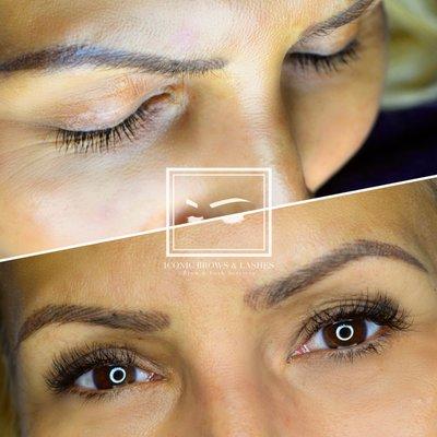 Iconic Brows & Lashes