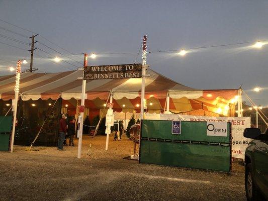 Bennett's Best Christmas Trees & Pumpkins