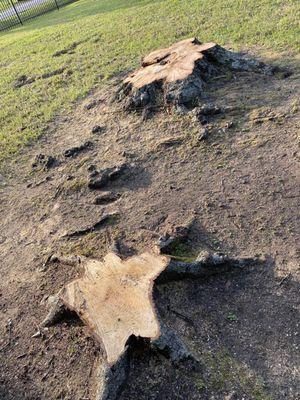 Sarceno Tree Service