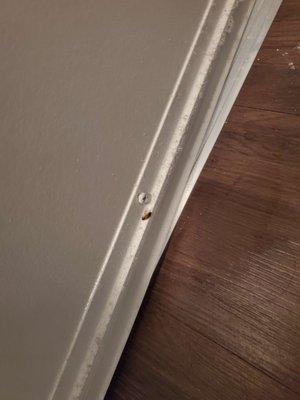 Farmhouse Apartments