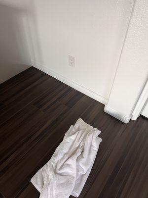 Water damage under laminate wood floors