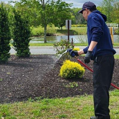 Elder Pest Control