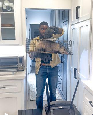 Laws of Nature Wildlife and Pest Management