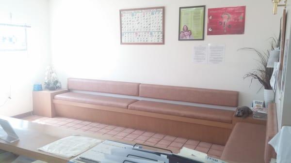 Animal House Veterinary Hospital