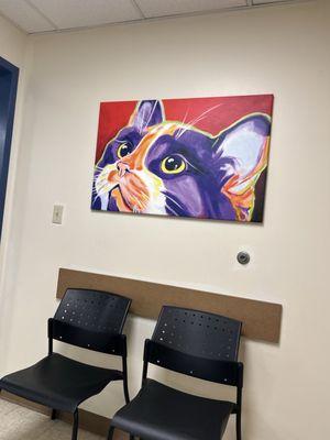 3 cats, 1 visit!! Not fun but here we are.