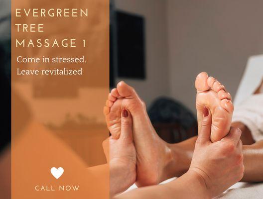 Evergreen Tree Massage 1