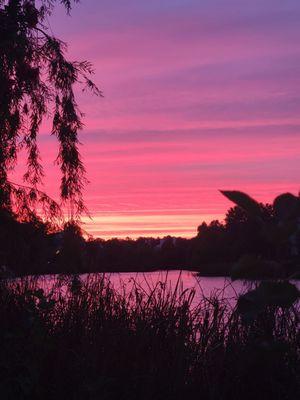 This is the sun setting at 8.oopm across the pavillion lake,(Gods art work)