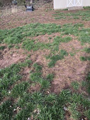 Central Connecticut Lawn Service