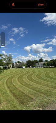 Prestige Landscaping