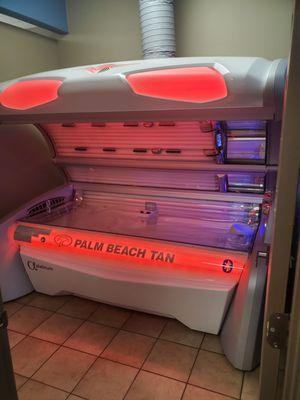 Palm Beach Tan