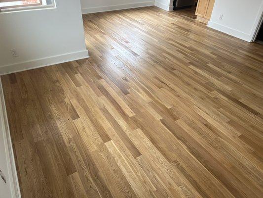 The Carpet Guy Flooring