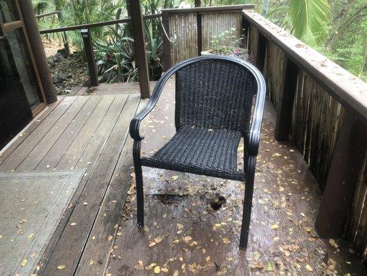 Whale Spirit Sanctuary