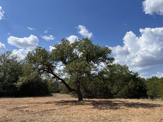 Rocking Six P Services