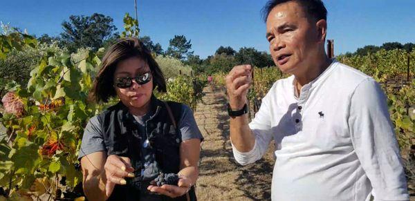 Carneros Della Notte