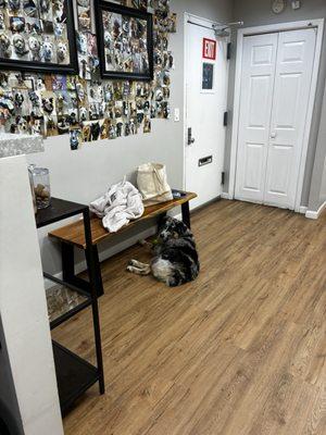 York Veterinary Center