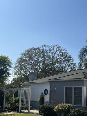 Poly Timber Tree Service