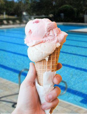 Artisan ice cream from The Alpine Creamery. (So good it will blow your mind!)