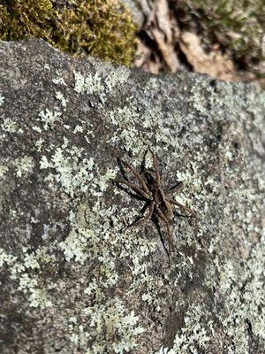 Doublet Hill Conservation Area