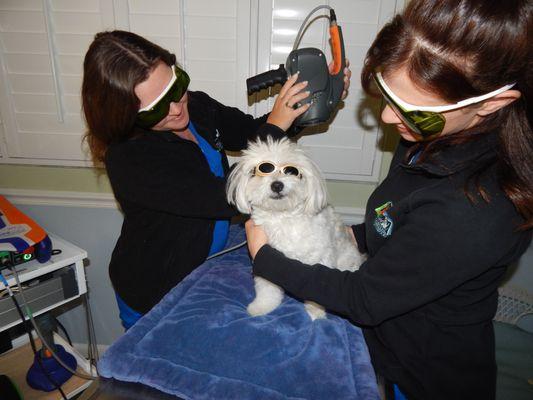 Laser therapy uses light to accelerate the body's healing process. It can help reduce swelling and increase mobility.