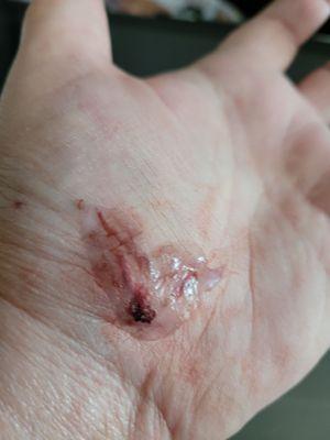 Surepoint Emergency Center-Addison Dallas