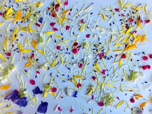 Sweet Day Community School