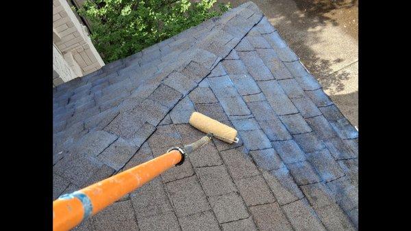House Roof Shingle Restore Coating Solution Services