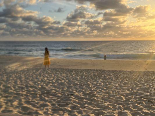 Chara Yoga and Wellness Collaborative