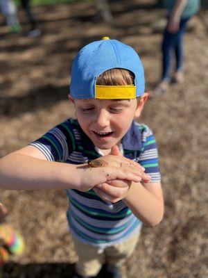 Montessori Weaver School