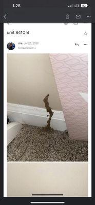 Keeneland Crest Apartments