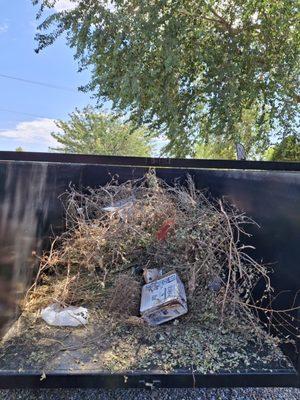 Gonzalez Junk Removal & Dumping