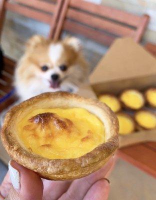 Fresh out of the oven: Portuguese Egg Tarts ($2 each)! Call ahead 1-2 days for large orders. Dog-friendly seating outside.