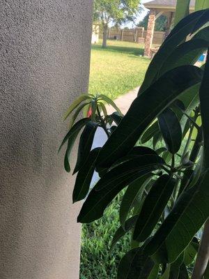 Stuart Place Nursery