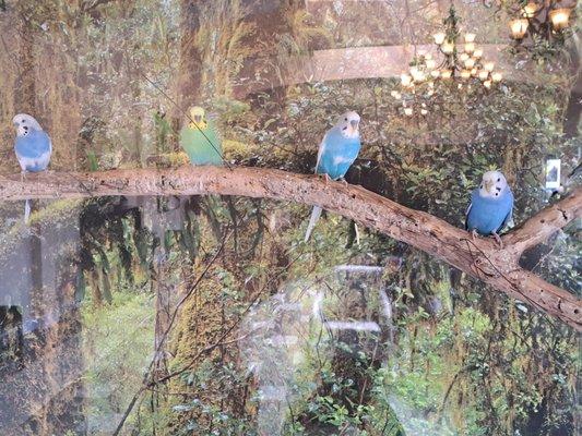 Skyline Health Care Center