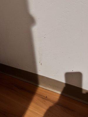 Dried vomit on the wall