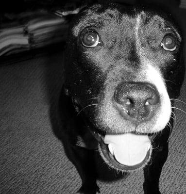 Klaus showing his charm!