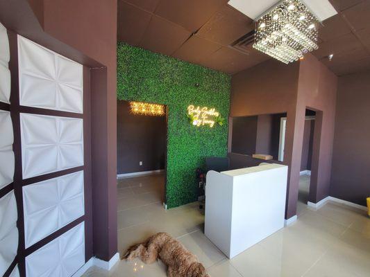 Body Snatchers By Tammy Beauty Bar