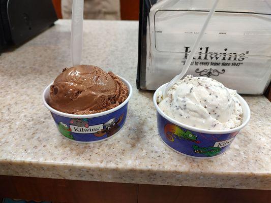 Ice cream - fudge brownie and toasted coconut