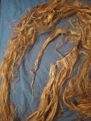 Star Dominican Salon