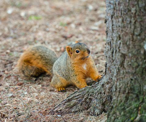 Epic Video & Photography