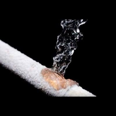 Dri-Rite Restoration Services