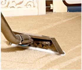 Carpet Cleaning