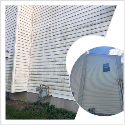 The Everything Company