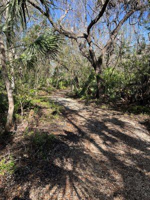 Beautiful morning walk