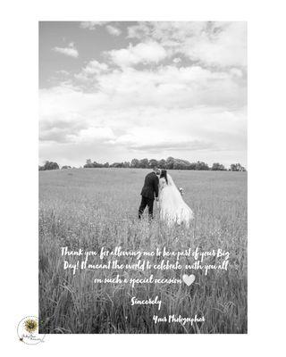 BabyBees Photography