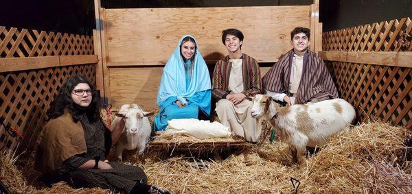 Last night was epic enjoying the Live Nativity at church last night.