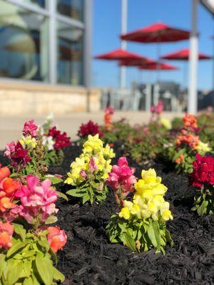 All Seasons Lawn Maintenance