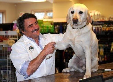 Jackson Animal Hospital