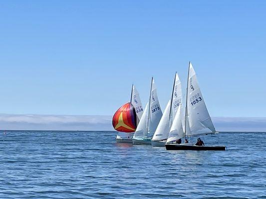 Races in the bay